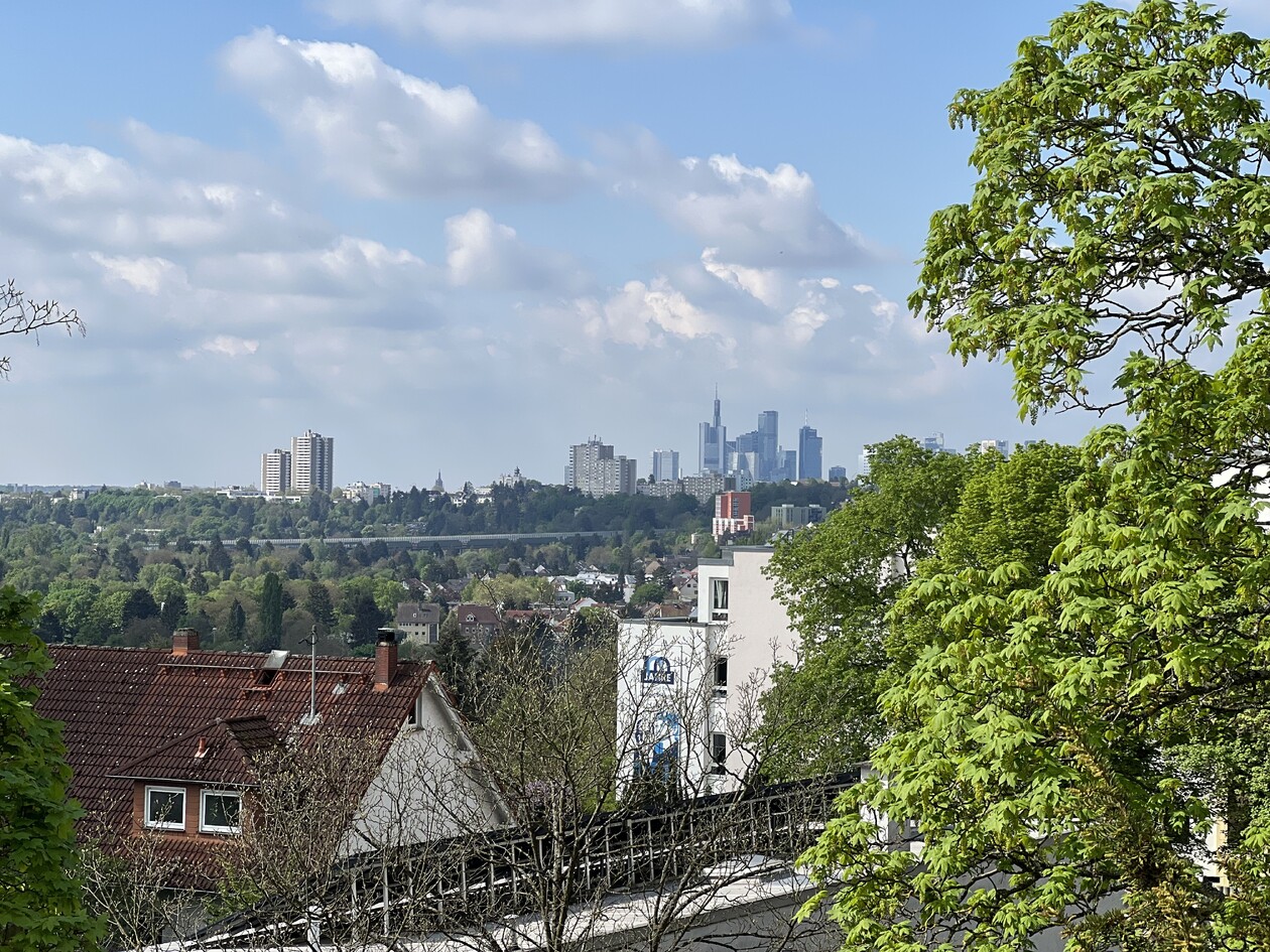 Skyline von Frankfurt am Horizont bei Tageslicht., fotografiert von der Dachterrasse des Mediacampus. Im Vordergrund sind Bäume.